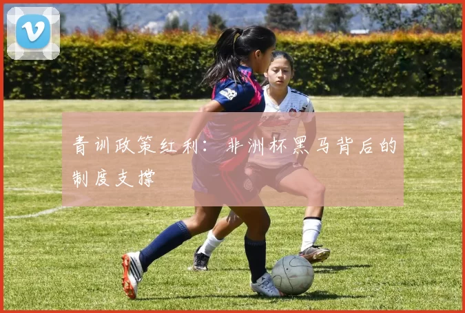 青训政策红利：非洲杯黑马背后的制度支撑