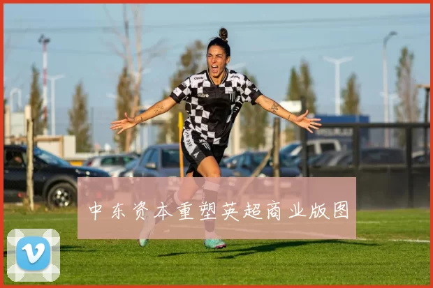 中东资本重塑英超商业版图