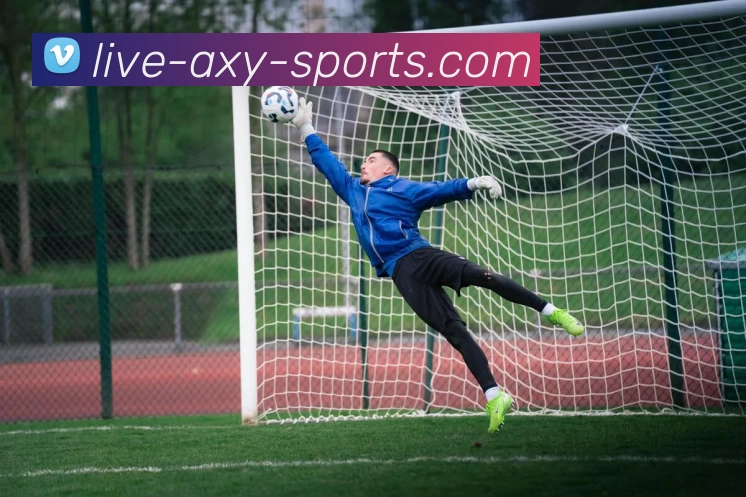 爱游戏品牌故事