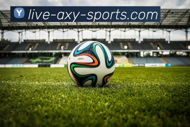 爱游戏服务体系